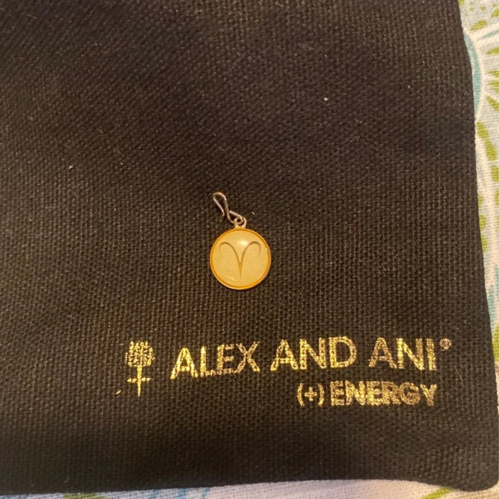 Aries Necklace Charm